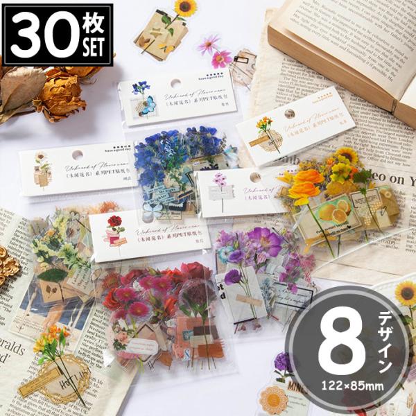 30 V[  t[  CXg AeB[N re[W fRXebJ[ AeB[N R[W g