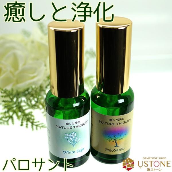 pTg 򉻃~Xg VR ~Xg  Xv[ p[Xg[ lR|Xs