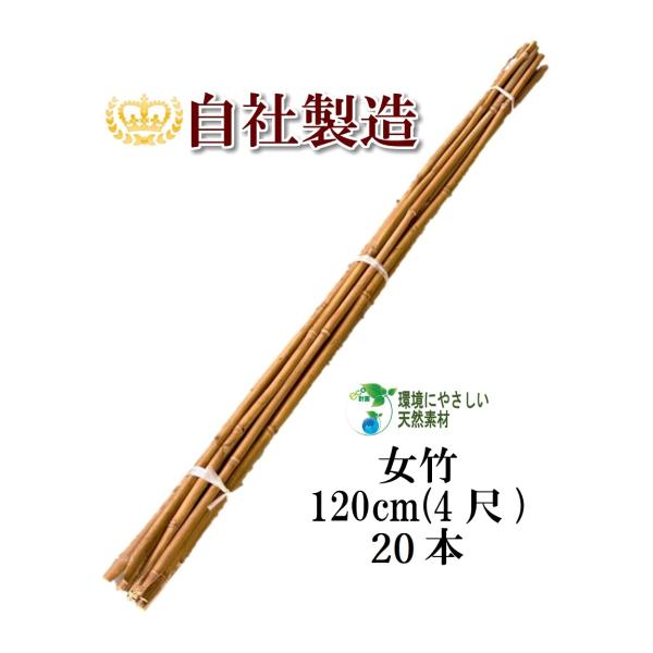 女竹　篠竹　燻竹３本セット　B 2025年最新】篠竹 女竹の人気アイテム - メルカリ