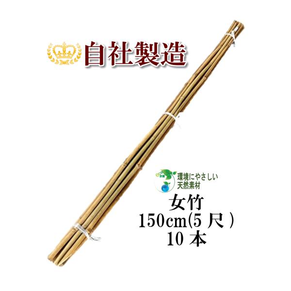 女竹 150cm 10本 篠竹 天然竹 竹支柱 測量用 測量用品 目印 農業