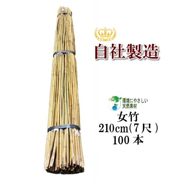 女竹　篠竹　小径管　9本セット　④ 女竹 210cm 100本 篠竹 天然竹 竹支柱 添え木 園芸用 農業用