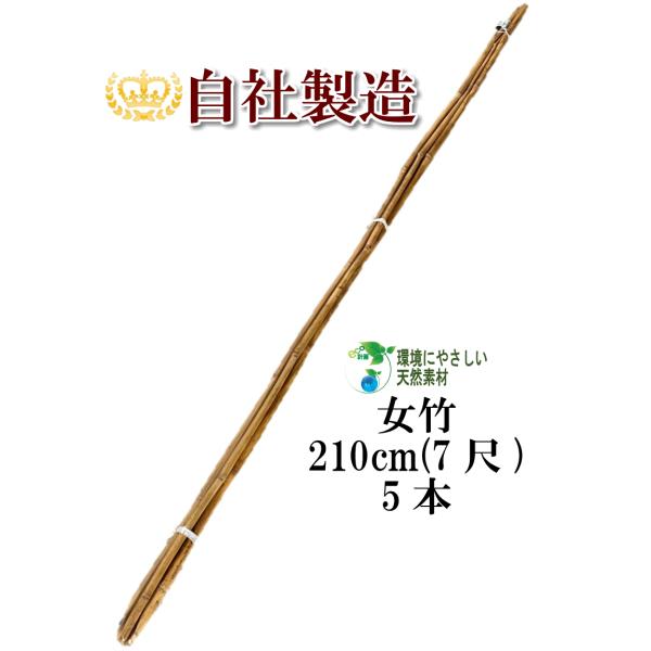 篠竹　女竹　ケーナ材　⑪ 000000000366_zx42ldI.jpg