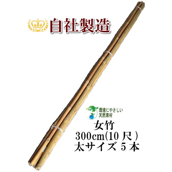 尺八自作用　30年物の天然竹　3本 尺八自作用 30年物の天然竹 3本 （文化財-天然記念物 - つるぎ町）