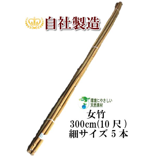 女竹 300cm 5本（細） 篠竹 天然竹 竹支柱 添え木 園芸用 農業用 定植