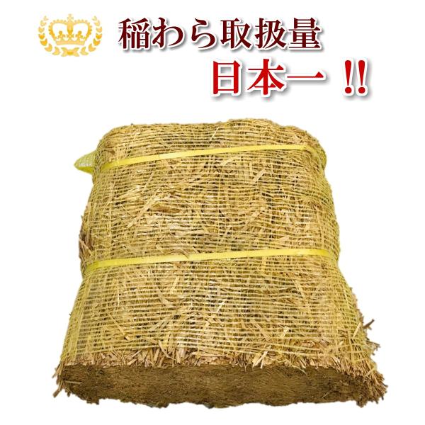サイズ：38cm×40cm×25cm内容量：約10kg　弊社は稲わら取扱量日本一です。この稲わらは農林水産省検査立会合格品で、和牛の飼料用として中国から輸入しております。国産のわらよりも多少色が黒っぽくなっておりますが、86℃以上の高温で蒸...