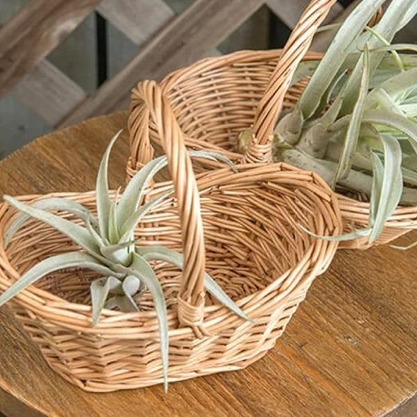 oXPbg 2Zbg ҂ JSobO obO F  i` JS  obO I[o^ ȉ~  k  G [ CeA