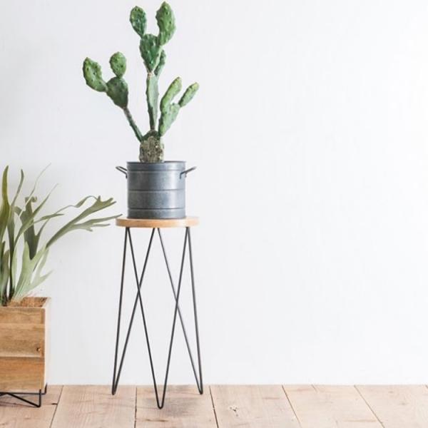 Aؔ X^h ؐ T[NX^h Ebh ی^ ~` Eh ؐ Ԓu TChe[u ϗtA ACA  i` CeA 