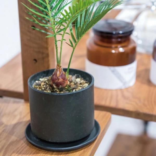 Aؔ  Eh|bg a10.5cm Aؔ ~`  K[fjO O[ ϗtA CeA v^[ A~jE  ꌊ