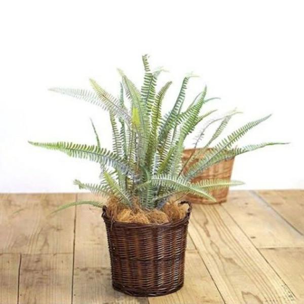 tFCNO[ lHϗtA {Xgt@[ CeA  ϗtA fR[V ͗lւ _rO i` ΂̂炵 k 傫