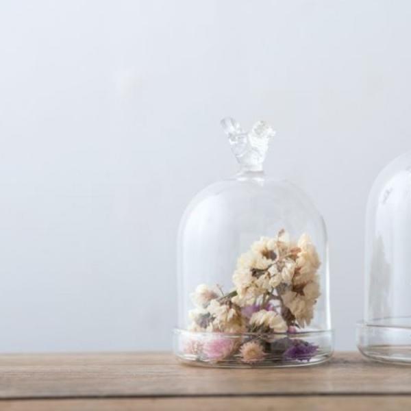 ガラスドーム 耐熱ガラス 容器 ガラス レトロ アンティーク おしゃれ