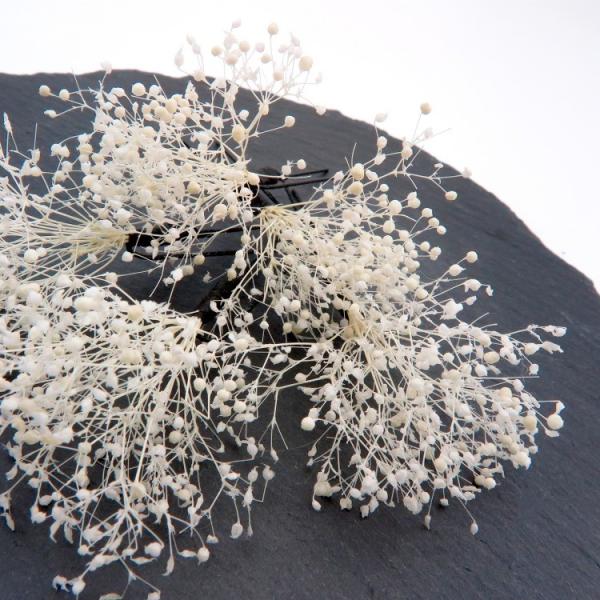  Ǝ wAANZ ݂ hCt[   Us 5{Zbg  䂩 U  l  񎟉 wAAW n Ȃ x[W