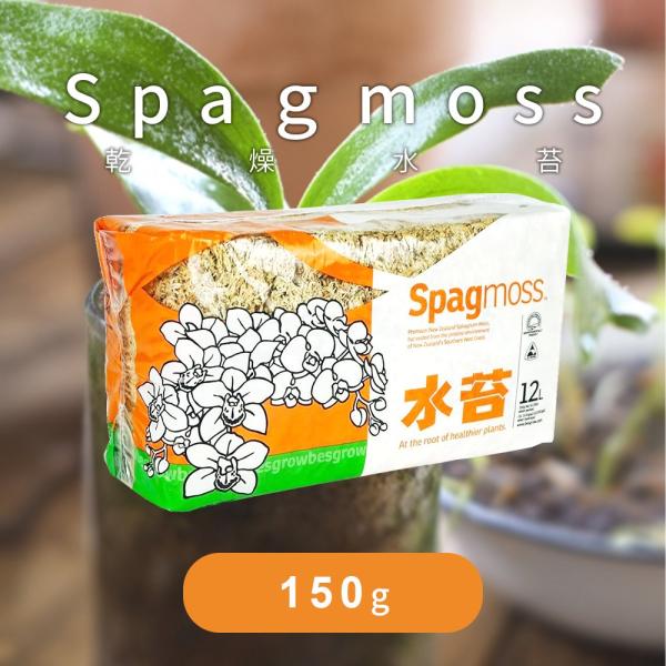 水苔 乾燥水苔 ニュージーランド産 150g ミズゴケ みずごけ 洋蘭 胡蝶