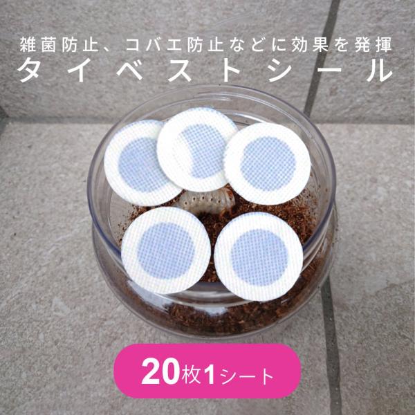 菌床飼育時の雑菌防止、コバエ防止などに効果を発揮します。水に濡れても破けず、頑丈で通気性もよく、菌床飼育には最適です。ガラスビンやポリビンのフタに貼ってお使いください。直径約４ｃｍ。穴の直径２．２ｃｍくらいのものまで対応できます。※入荷状況...