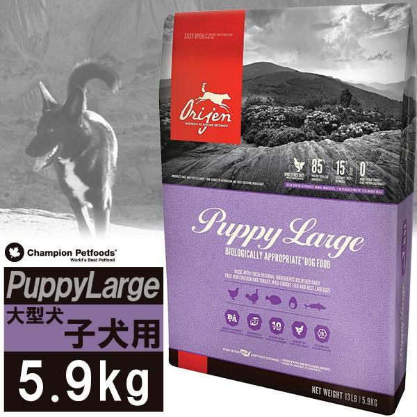 オリジン ドッグフード 大型犬用 パピーラージ 5 9kg ドライフード 大型犬 子犬用 Puppy Large ドッグフード Orijen ペットフード ku ユートピア 猫用品 フード専門店 通販 Yahoo ショッピング