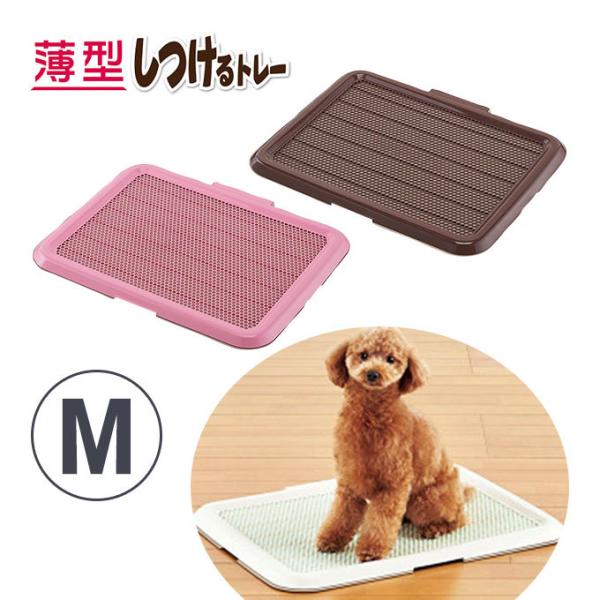 犬 トレー 犬用しつけグッズの人気商品 通販 価格比較 価格 Com