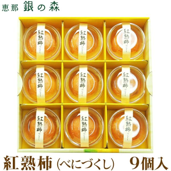 銀の森 紅熟柿 べにづくし 冷凍 9個入り 9人前 恵那 長野県産市田柿100%使用 3種類の食感が楽しめる シャーベット アイス フローズンデザート