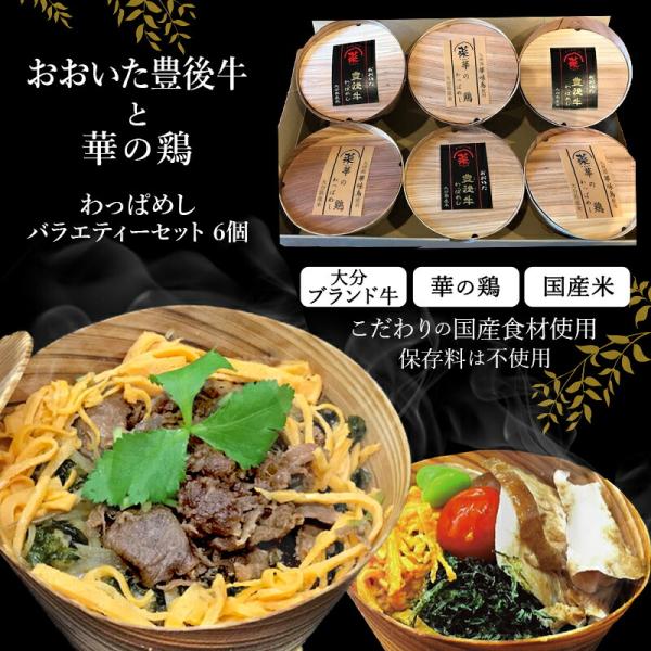 大分 クールフーズHANA 冷凍わっぱめし おおいた豊後牛わっぱめしと華の鶏わっぱめし 各3個
