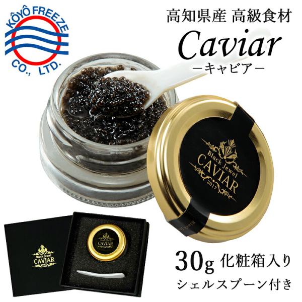 キャビア フレッシュキャビア 専用シェルスプーン付 冷凍 30g 高知産熟成 化粧箱入り 濃厚でクリーミーな味わい べステル ハイブリッド 低塩熟成 興洋フリーズ