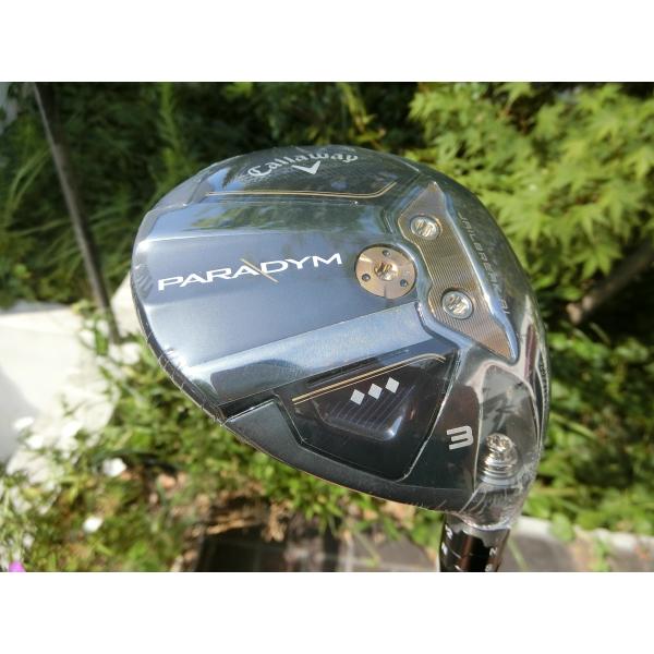 PARADYM 日本仕様 カスタム品♪ パラダイム トリプル PARADYM 日本仕様 カスタム品♪ パラダイム トリプル