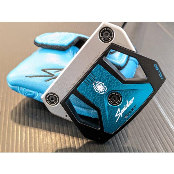 TaylorMade（テーラーメイド） 話題のパター！ スパイダー ZT
