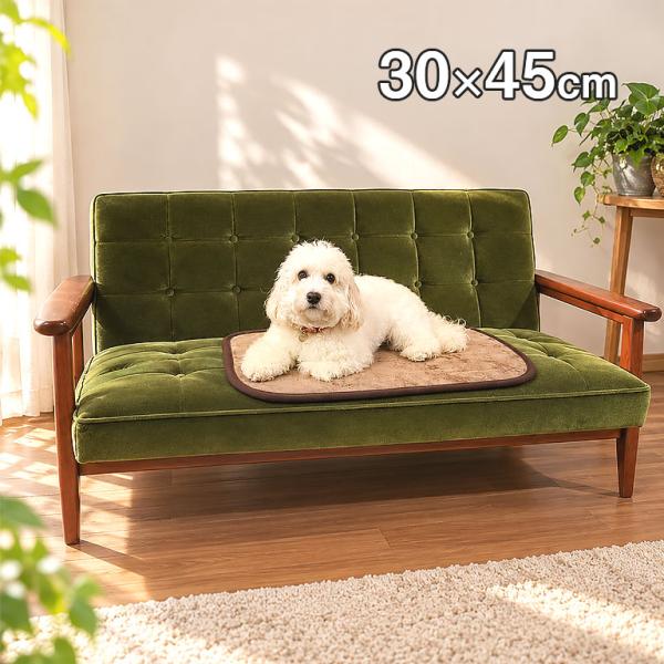 消臭達人(R) ぽかぽか蓄熱 保温 断熱 消臭パッド 30×45cm ペット ペット用  犬 猫 犬用 猫用 蓄熱マット あったかマット  防寒 あったかグッズ 冷え対策