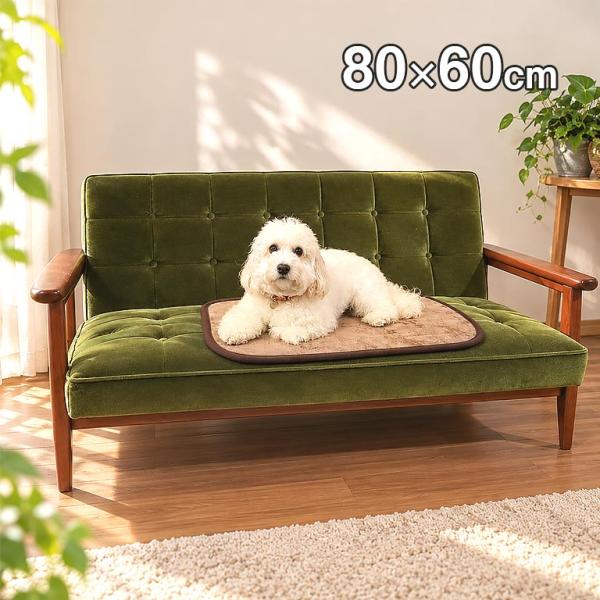 消臭達人(R) ぽかぽか蓄熱 保温 断熱 消臭パッド 80x60cm ペット ペット用  犬 猫 犬用 猫用 蓄熱マット あったかマット  防寒 あったかグッズ 冷え対策