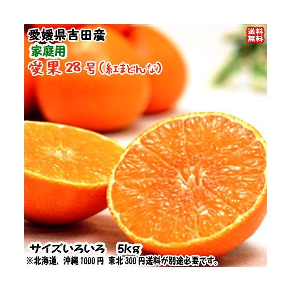 愛果28号 紅まどんな 家庭用 (5kg) サイズフリー 愛媛 吉田産 愛果28号 紅まどんな 家庭用 (5kg) サイズフリー 愛媛 吉田産