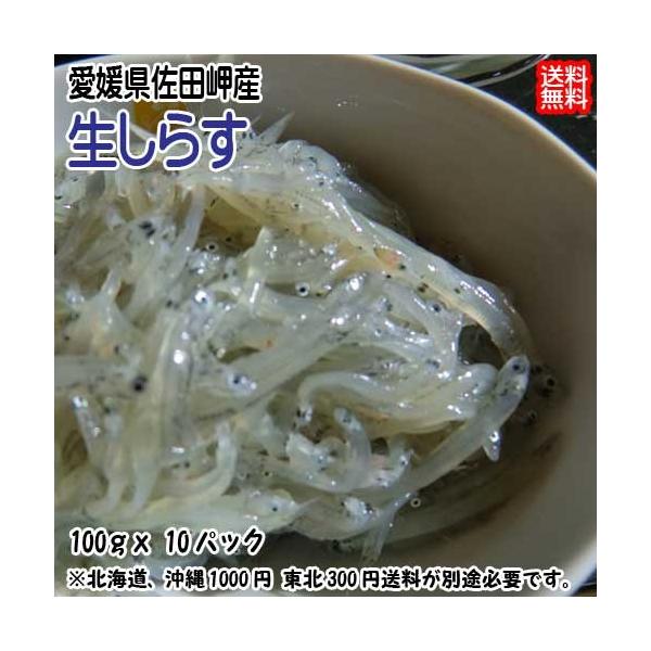 [Release date: March 1, 2022]天然物の為、水揚げ次第のお届けとなります。