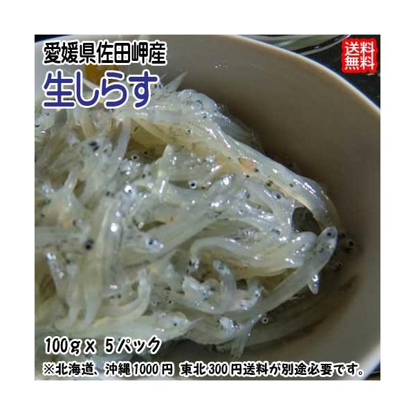 [Release date: March 1, 2022]天然物の為、水揚げ次第のお届けとなります。