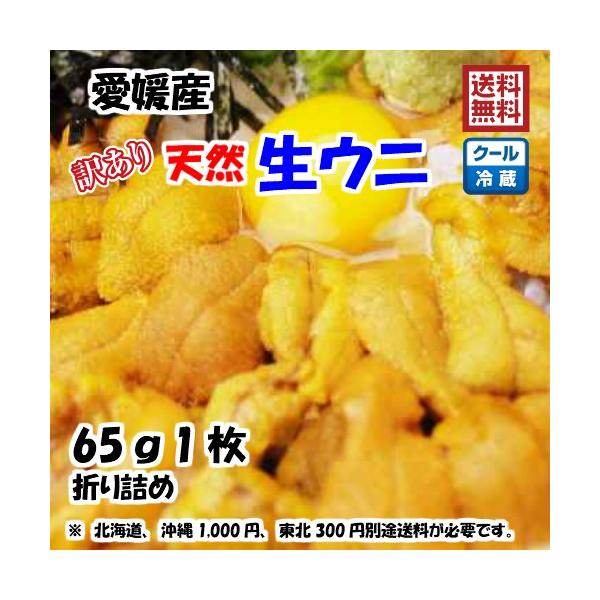 生ウニ 板ウニ 訳あり 60g1枚 愛媛 天然 紫ウニ 赤ウニ 素潜り海士 送料無料 北海道/沖縄/...