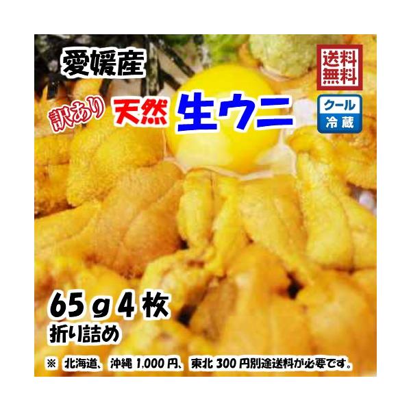 生ウニ 板ウニ 訳あり 60g4枚 愛媛 天然 紫ウニ 赤ウニ 素潜り海士 送料無料 北海道/沖縄/...