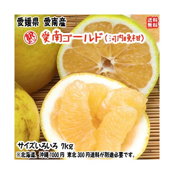 愛南ゴールド 河内晩柑 （訳あり7kg） 愛媛 愛南町産 爽やかジューシーな夏の柑橘 ブランドの品質 送料無料 宇和海の幸問屋