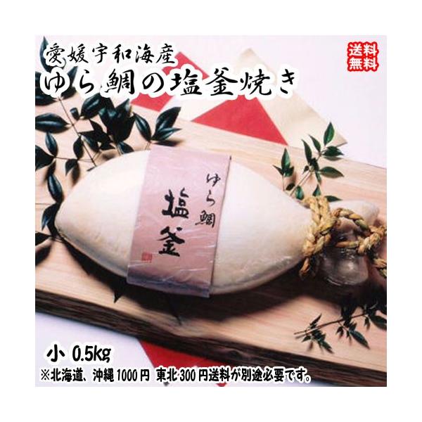 鯛の塩釜焼 （小 魚体約30cm0.5kg） 愛媛 お祝 お食い初め 慶事 送料無料 北海道/沖縄/東北は別途送料 浜から直送 宇和海の幸問屋