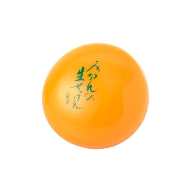  Ό ݂̐ ^Cv 50g Xp` Aălbg ZA Mtg v[g  