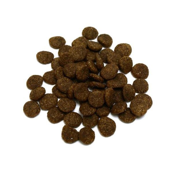 送料無料 プリンシプル ドッグフード グレインフリーサーモン Sw 9kg 4 5ｋｇ 2 全年齢 全犬種対応 穀物不使用ドッグフード 賞味期限6ヶ月以上保障 Buyee Buyee Japanese Proxy Service Buy From Japan Bot Online
