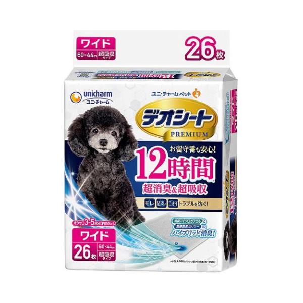 fIV[g o PQԒLz Ch QU /fIV[g o ybgV[cEV[g Ch