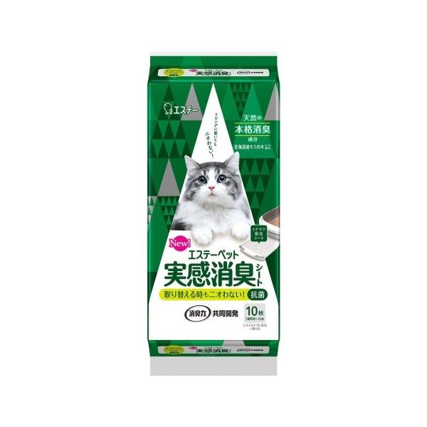 GXe[ybgLV[gLpPO/VXegC@L