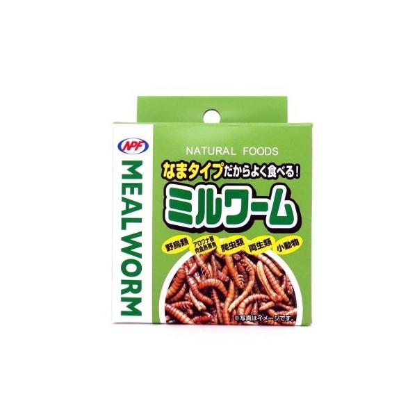 ミルワーム 35ｇ 爬虫類 両生類 フード Vドラッグpaypayモール店 通販 Paypayモール