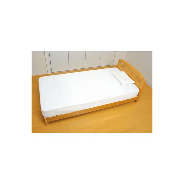 Ka쏊 \tghV[ciSʃ{bNXj rdOSy/hV[c