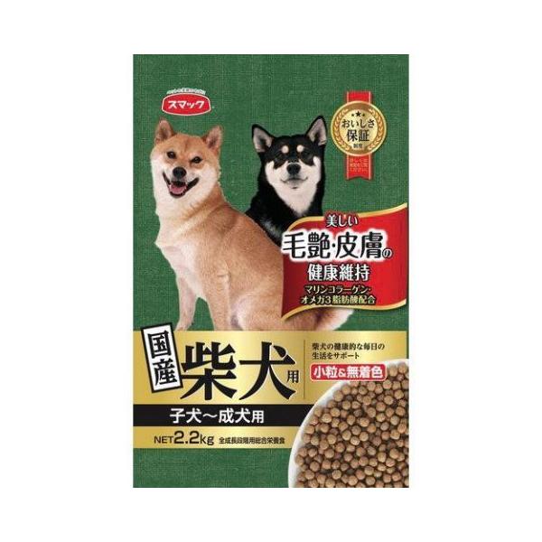 X}bN Čp q`p QDQ /X}bN Čp hbOt[h