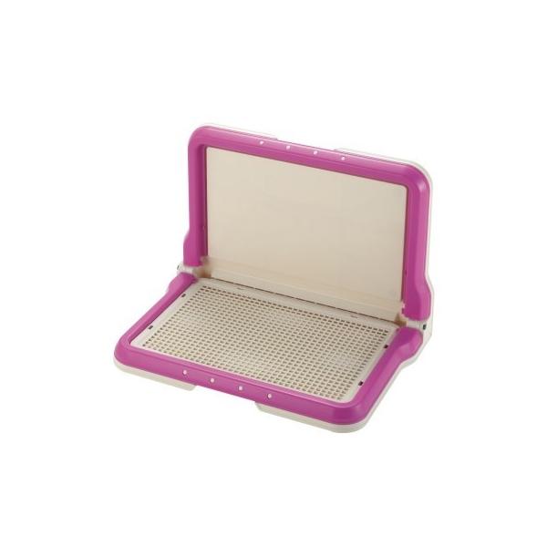 pXebvk^g[M[ sN/ pi gC