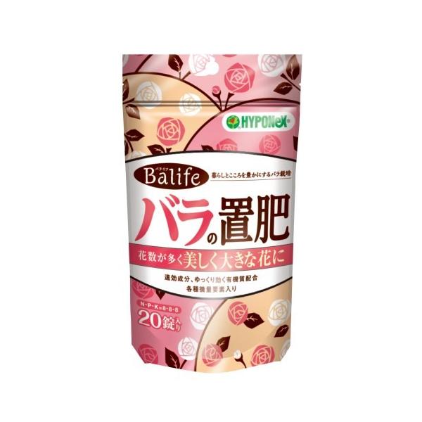 nC|lbNX@oCt@o̒u@QO /|pyE엿@ܔ엿@ܐp엿