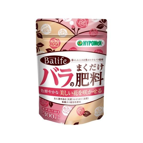 nC|lbNX@oCt@ô܂엿@ROO /|pyE엿@ܔ엿@ܐp엿