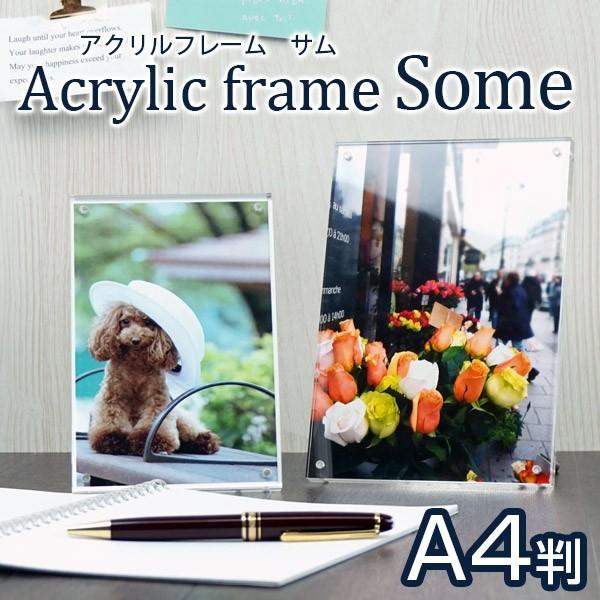 ANt[ T A4  tHgt[ z ʐ^ some  a100-554