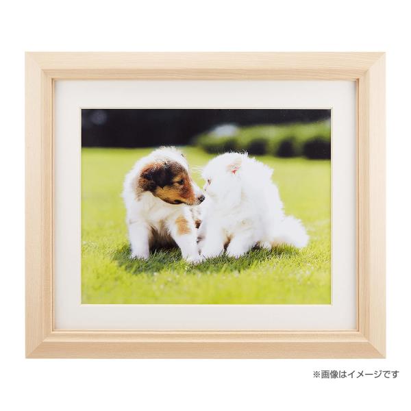FUJIFILM（フジフイルム） 受発注商品 フジカラー 木製額 M12 アクリル