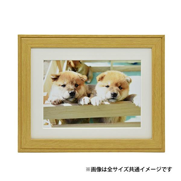 tW ؐz YM-9 Chl ؒn Ǌ| tHgt[ z ʐ^ W Ch4