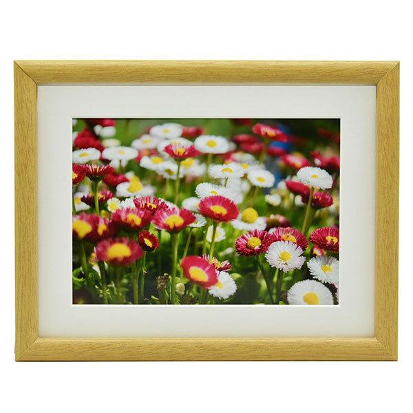 �ؐ��z�� �L���r�l 2L M20 �ؒn�F �t�W�J���[ �󔭒����i ����