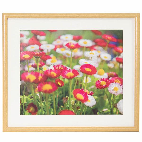 ؐz 4 M20 ؒnF tWJ[ 󔭒i