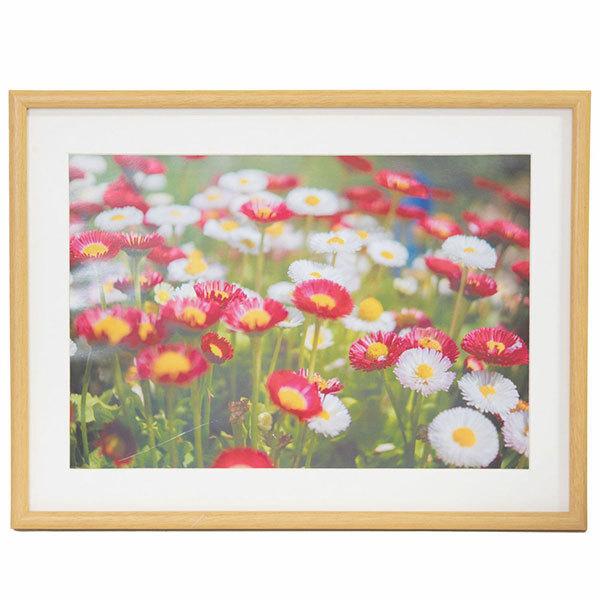 ؐz Ch4 M20 ؒnF tWJ[ 󔭒i