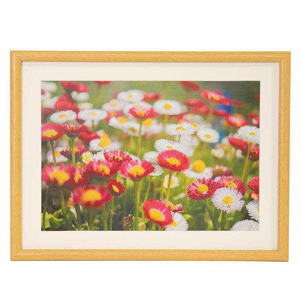 ؐz A4 M20 ؒnF tWJ[ 󔭒i